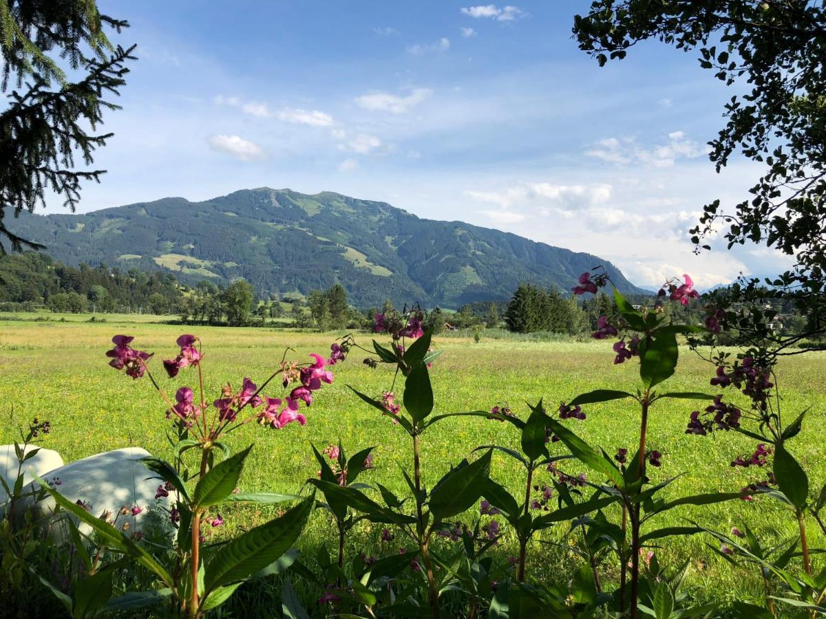 Pension Erlhof Saalfelden Zewnętrze zdjęcie